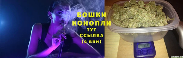 бошки Аркадак
