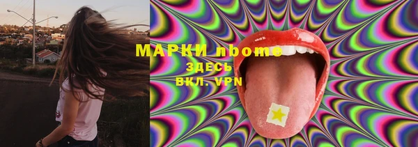тгк Арсеньев