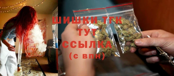 тгк Арсеньев