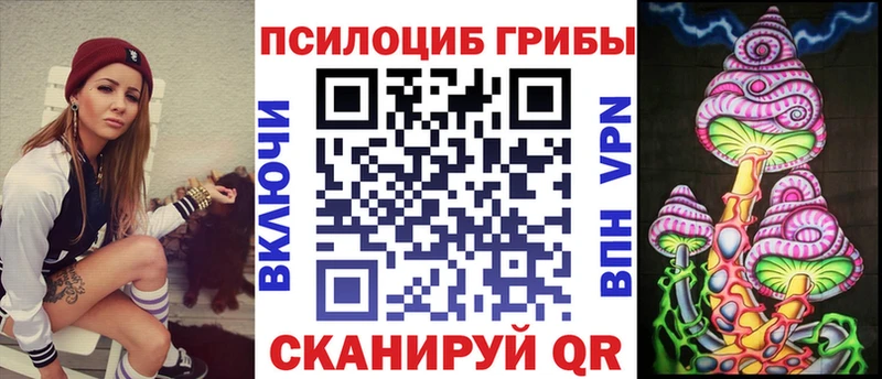 Купить  Среднеуральск  Псилоцибиновые грибы Psilocybe 